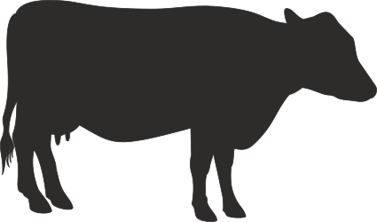 Cow Silhouette on Black Background - Stunning Clipart for Diverse Uses