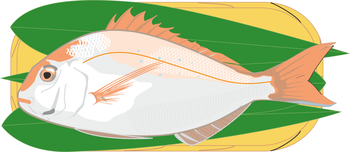 Long Tail Fish Clipart - Vibrant and Unique Sea Creatures