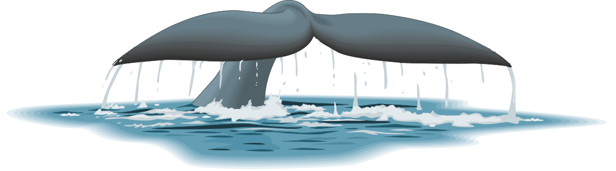 Whale Jumping Out of Water - Stunning Clipart for Your Projects