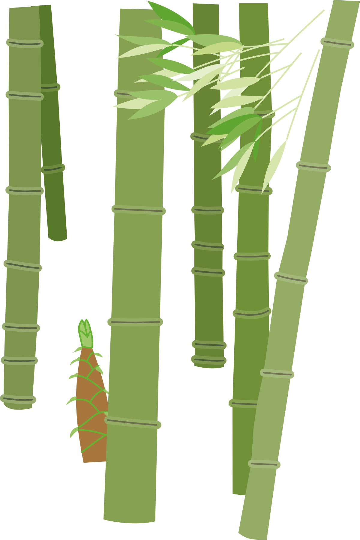 Bamboo Trees with Red Flower Clipart  Nature's Serenity