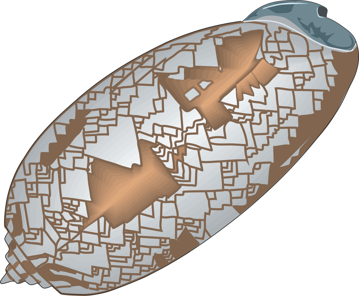 a broken egg with a broken egg inside clip art png transparent Broken Egg with Another Egg Inside - Unique Clipart Illustration