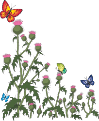 Beautiful Thistle Plant Borders with Butterflies for Family Tree Illustrations