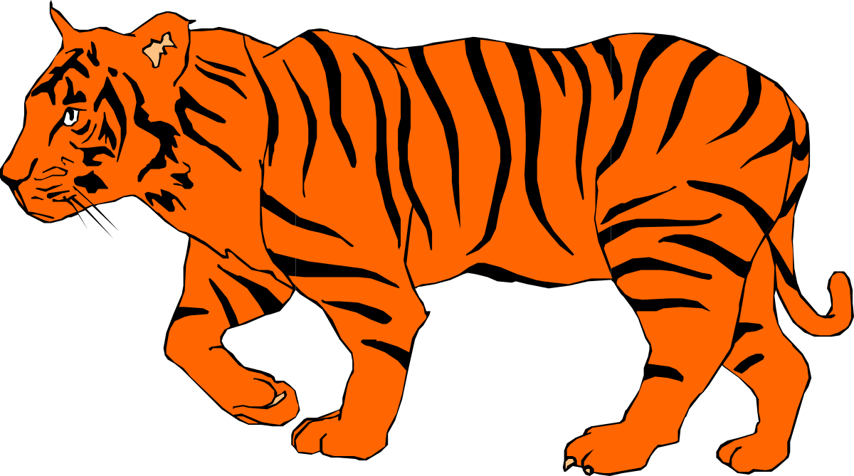 Tiger Walking Across Black Background Clipart