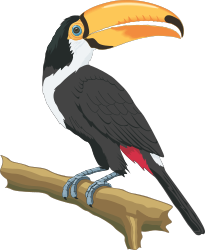 Toucan Bird on a Branch Clipart for Vibrant Designs