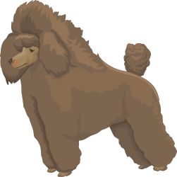 Brown Dog Poo Clipart on Black Background