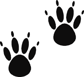 Black and White Paw Prints Clipart - Perfect for Animal Lovers