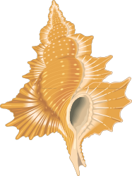 Sea Shell Clipart: White and Yellow Coastal Treasure