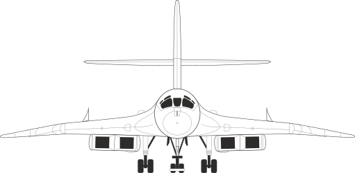 AIRCRAFT,JETS,TU160F clipart