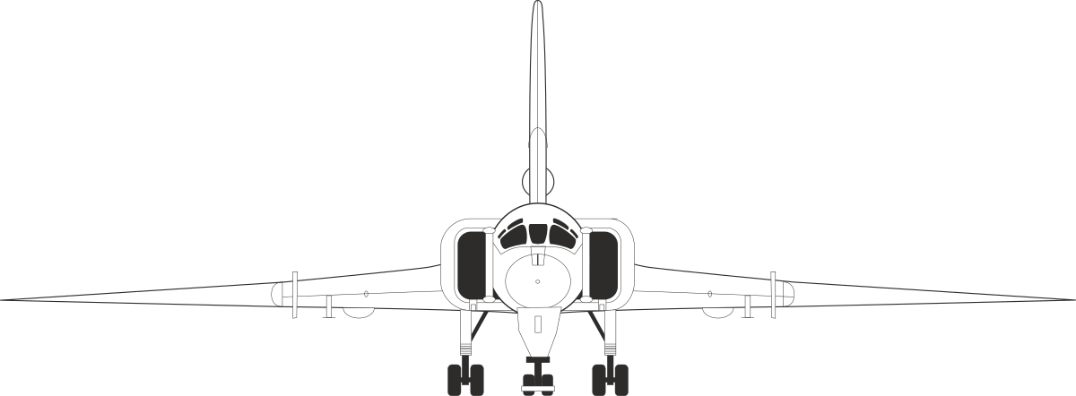 Jet Clipart in Striking Black and White