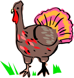 Turkey Clipart with Vibrant Pink and Orange Head