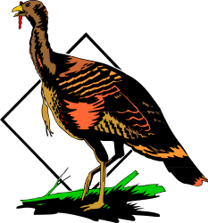 Bird Standing on Green Grass Clipart - Nature Illustration
