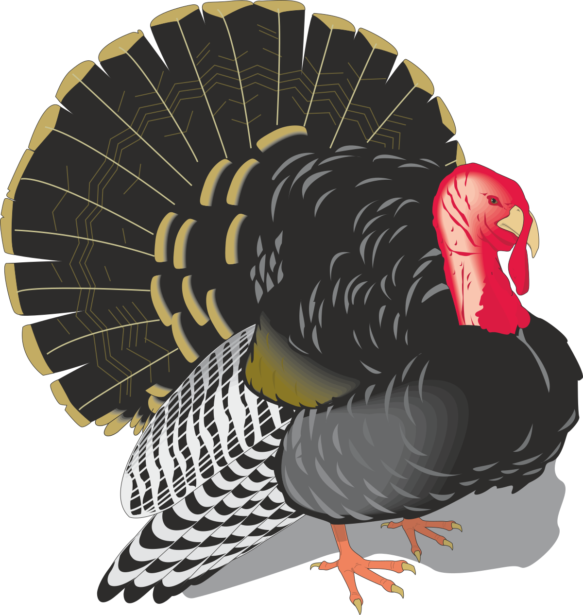 Turkey with Red Head Clipart for Creative Projects