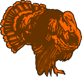 Turkey Clipart: Stunning Large-Headed Bird with Long Tail