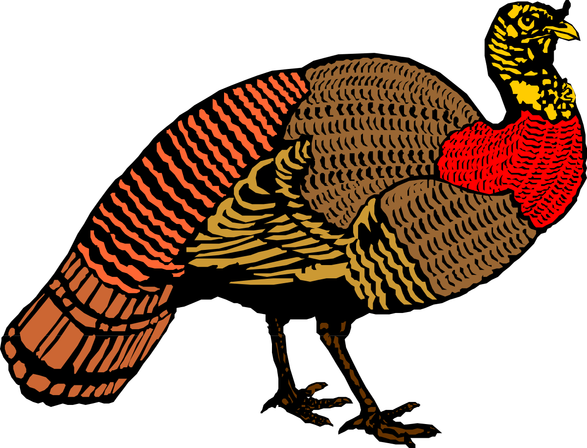 Turkey Clipart with Striking Red and Black Stripe Design