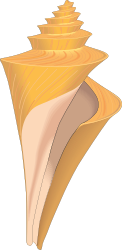 Yellow and Brown Shell Clipart for Creative Projects