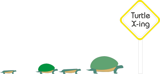 Turtle Crossing Road Clipart with Animal Borders