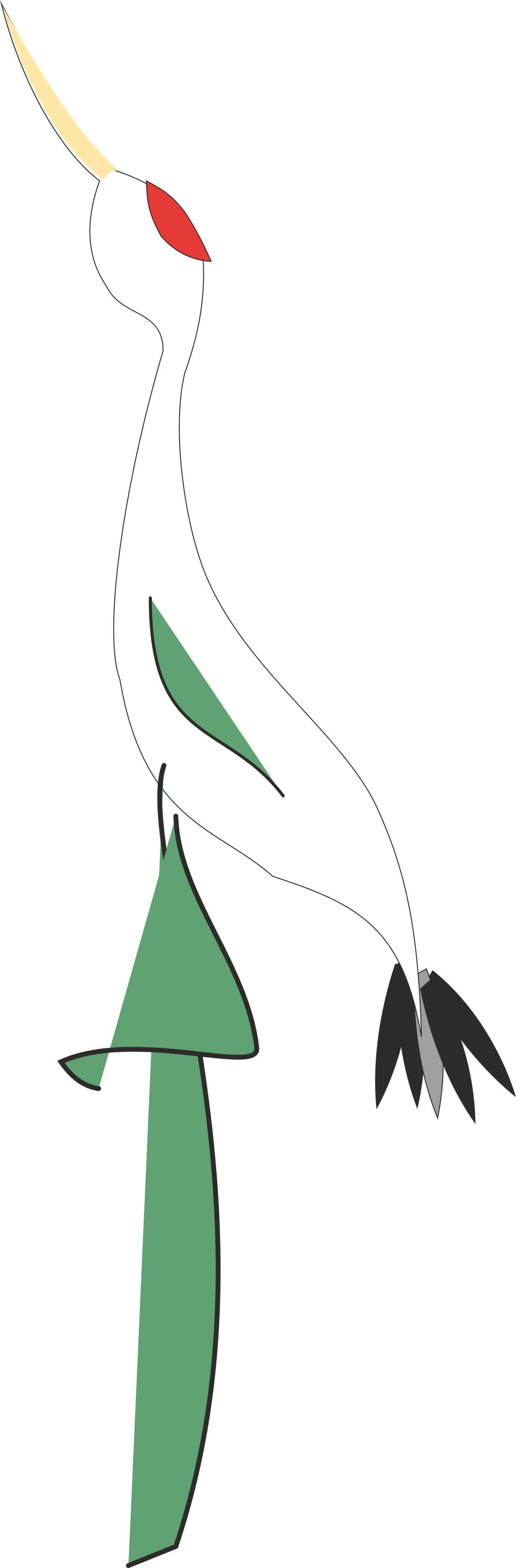 Long-Billed Bird Clipart with Striking Red Beak
