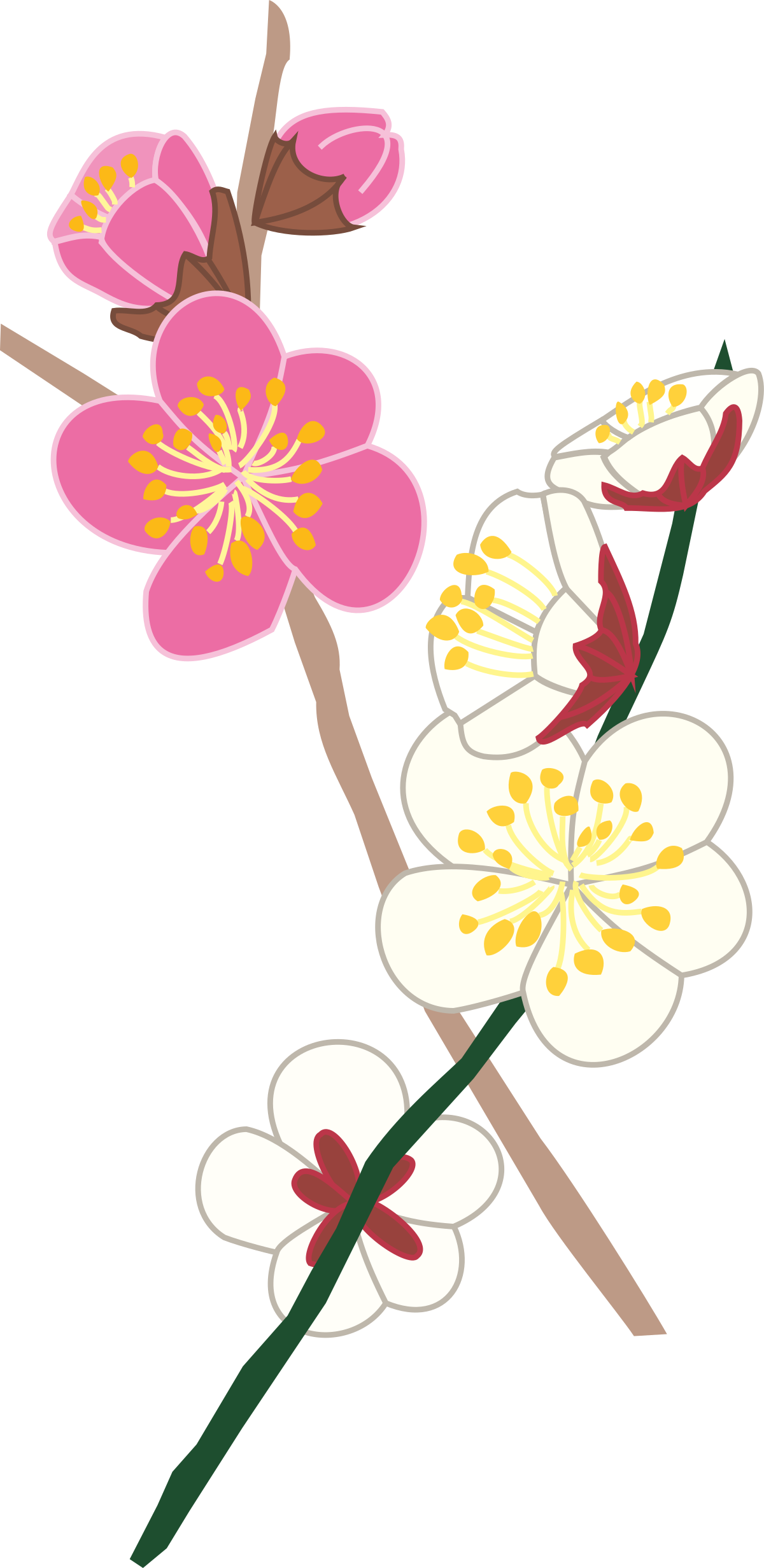 Flowering Branch Clipart: Beautiful Floral Design for Creative Projects