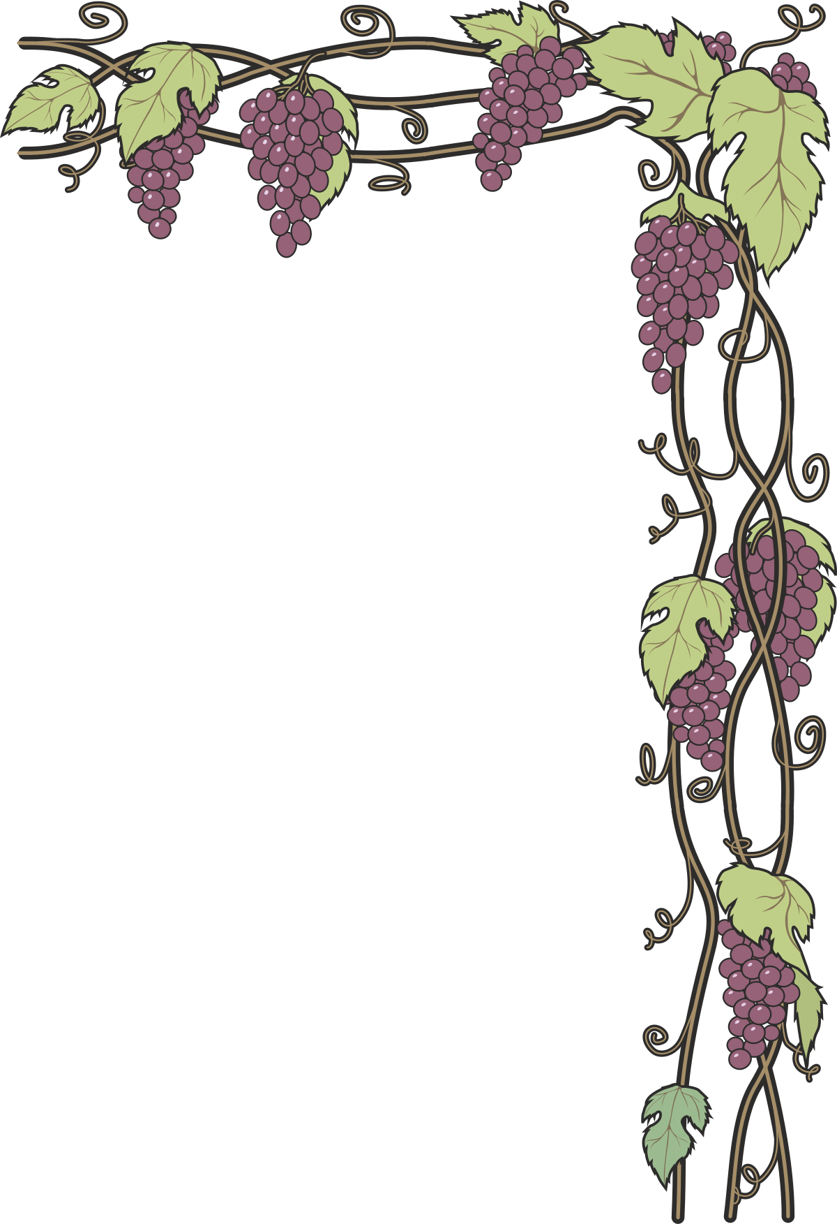 a vine border with grapes clip art png transparent Vine Borders with Grapes | Elegant Plant Clipart for Creative Designs