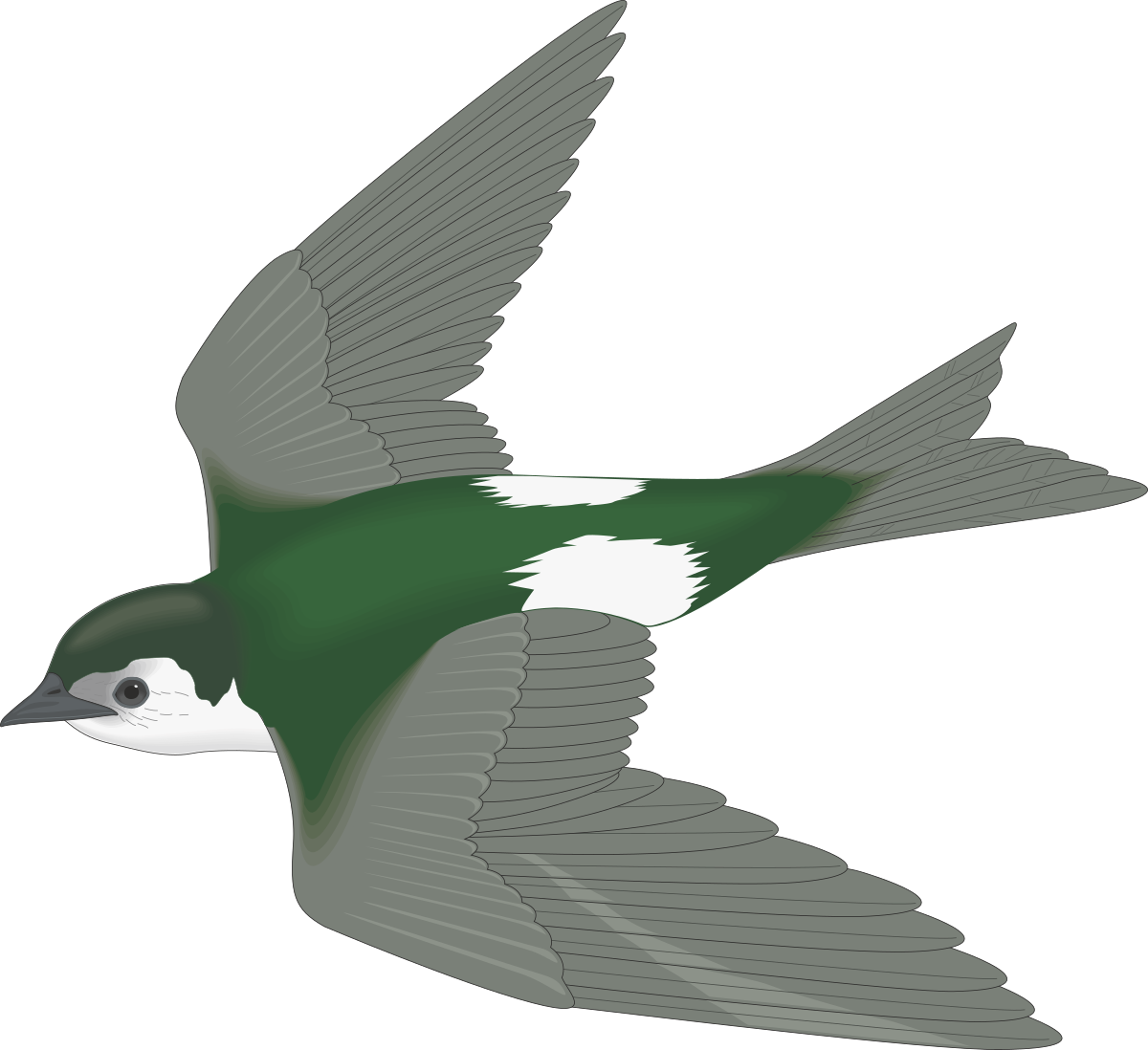 Green Bird Flying in the Air - Stunning Clipart for Your Projects
