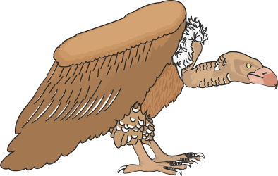 BIRDS,VULTURE clipart