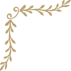 Decorative Floral Borders and Plants Clipart - WA36 Gold Frame Design