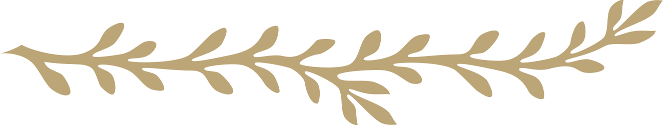 Borders and Plants Clipart: Decorative Elements Inspired by Westminster Abbey
