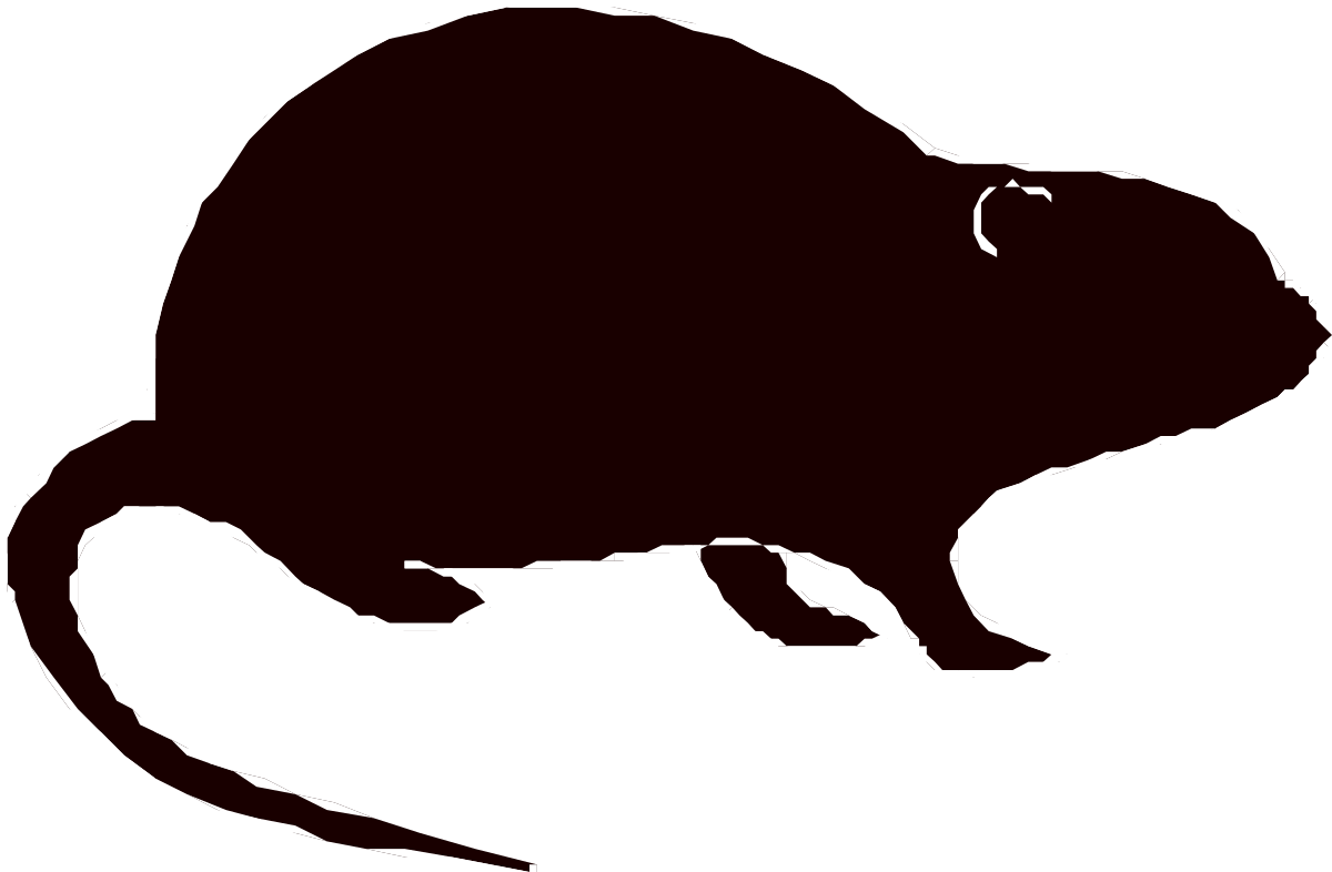 a rat silhouetted on a black background clip art png transparent Rat Silhouette on Black Background - Perfect for Graphic Projects