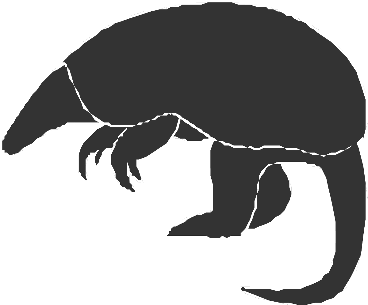 Kangaroo Silhouette Clipart - Black and White Design