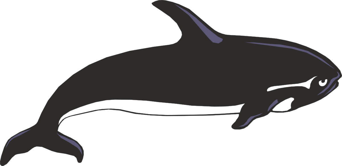 a whale with a black and white outline clip art png transparent Whale Outline Clipart: Stunning Black and White Design
