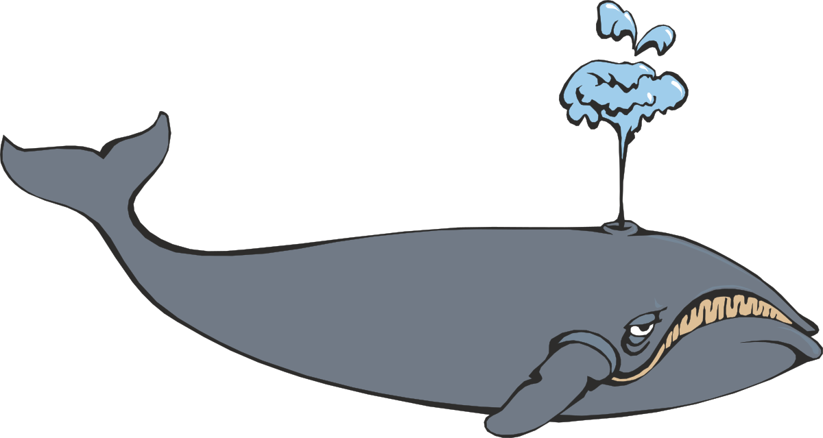 a whale with a small fish in its mouth clip art png transparent Whale with Small Fish in Mouth Clipart - Underwater Wonders