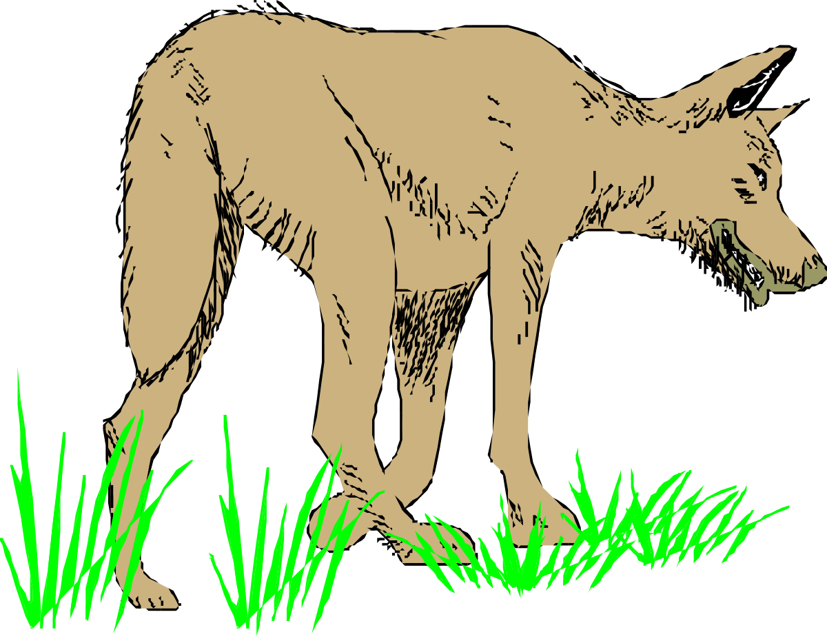 Brown Wolf Standing in Grass Clipart - Perfect for Nature Themes