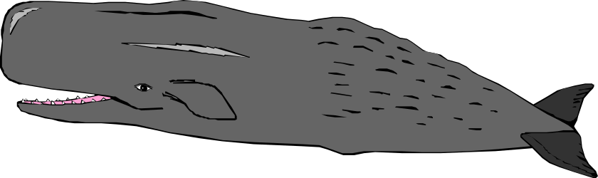 Black and White Fish with Pink Eyes Clipart - Unique Underwater Illustrations