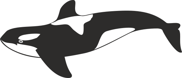 Orca Whale Silhouette - Stunning Black and White Clipart