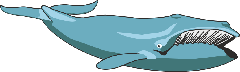 Whale Open Mouth Clipart - Stunning Marine Life Illustration