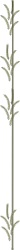 Tall Pole Clipart with Wheat Borders - Unique SVG Design