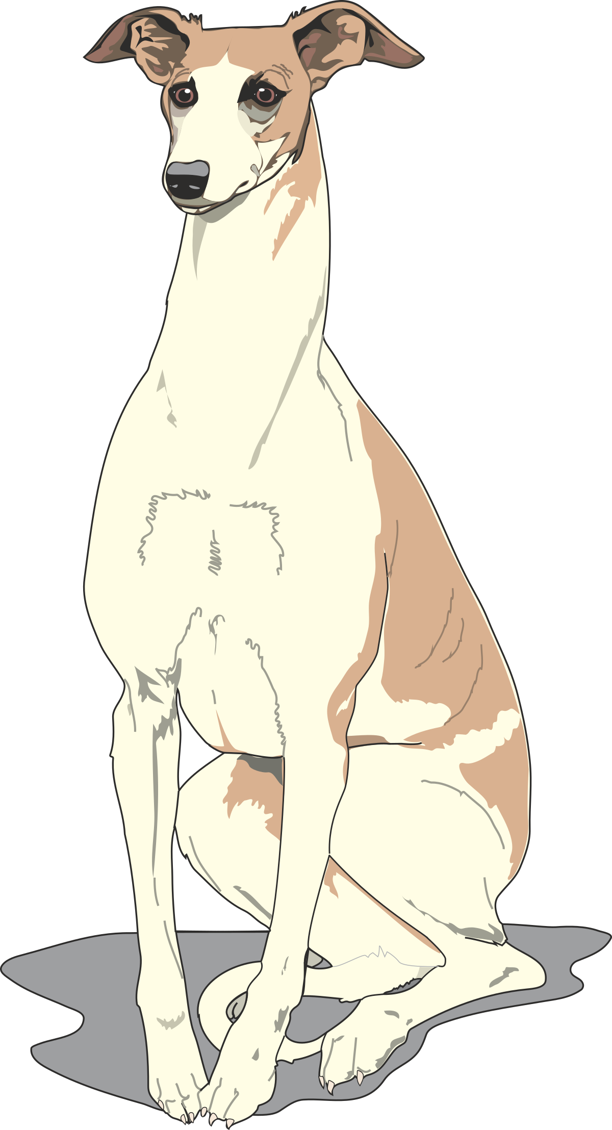 Dog Sitting on Ground Clipart - Playful Canine Illustration