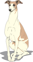 Dog Sitting on Ground Clipart - Playful Canine Illustration