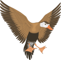 Bird with Spread Wings Clipart - Stunning Nature Illustration