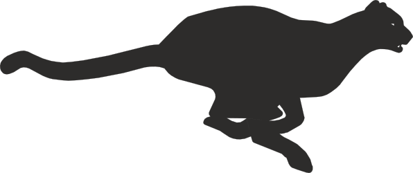 Silhouetted Black Cat Clipart: Perfect for Creative Projects