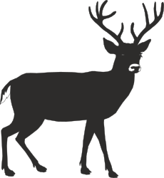 Black and White Deer Silhouette on Dark Background - Elegant Clipart