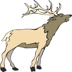 Deer Standing in the Dark: Majestic Wildlife Clipart