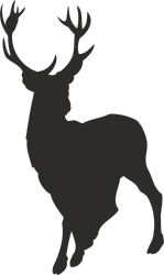 Deer Silhouette Clipart - Stunning Wildlife Design for Various Uses