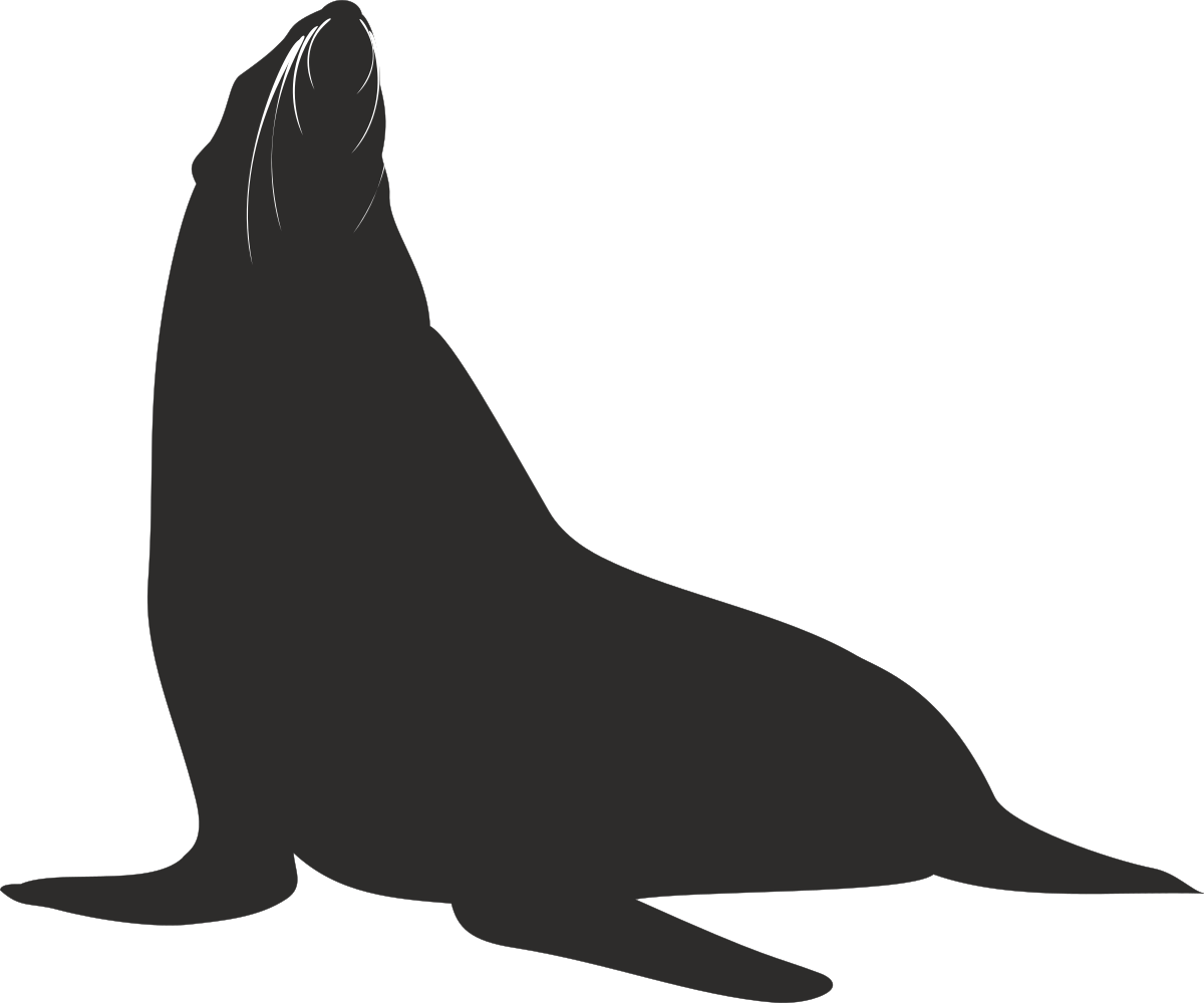 Seal Clipart Collection: Fun and Playful Seal Illustrations