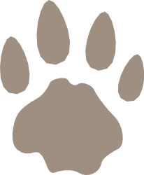 Brown Paw Print Clipart for Animal Lovers