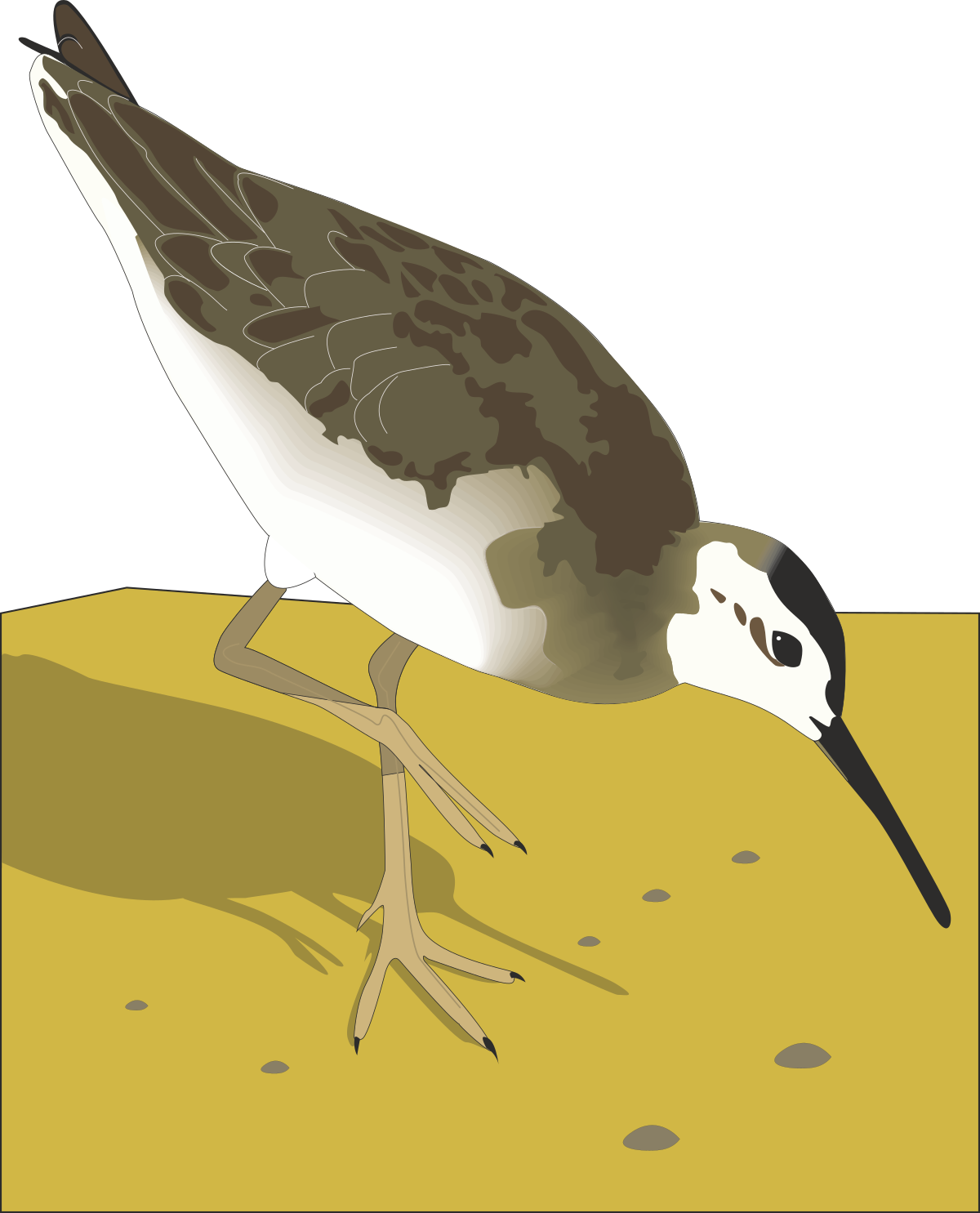Bird Walking on Ground Clipart - Beautiful Nature Scene