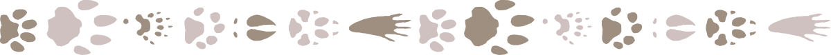 Wave Clipart: Stunning Black and White Borders & Bars Design