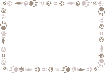Paw Prints Frame Clipart - Creative Borders & Frames Design