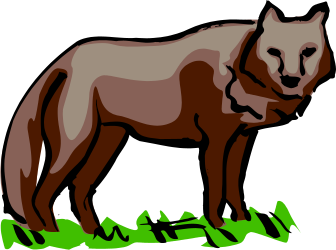 Brown and White Cat Standing on Grass Clipart - Perfect for Pet Lovers
