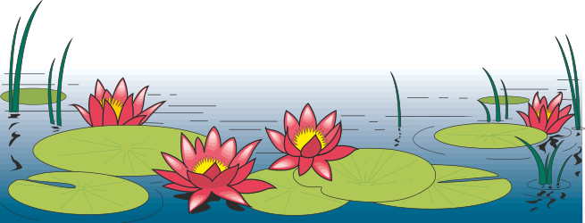 Water Lilies and Plant Borders Clipart - Elegant Pond Design Elements